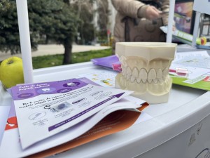 IMG-1a3966b9ae281b6febce224440ea2a1b-V