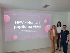 IMG-a924193aaea634c4538f5433d3b323e7-V